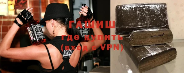 индика Великий Новгород