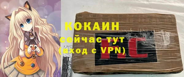 индика Великий Новгород