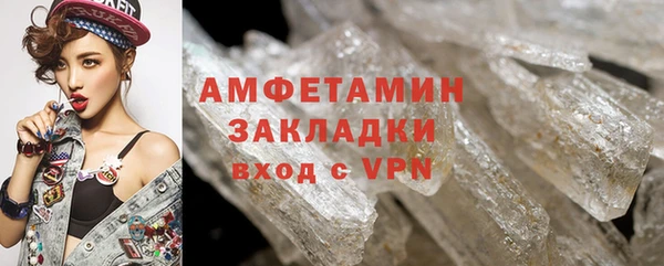 индика Великий Новгород